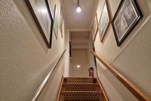 Außergewöhnliche DG-Wohnung für max. 2 Personen am Rande der Ohligser Heide – Die vollständige Adresse der Immobilie erhältst du vom Anbieter., 42697 Ohligs/Aufderhöhe/Merscheid, Solingen – Vorschaubild 11