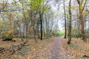 Property thumbnail 16