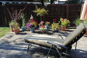 Schönes Einfamilienhaus mit sonniger Terrasse und separater Gewerbeeinheit – Graf-Adolf-Str. 35, 58730 Fröndenberg/Ruhr – Vorschaubild 2