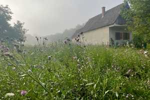 In Ungarn! Weinberg mit Haus in Ungarn, Nähe Balaton – Petöfi Sandor utca 1, 8734 Berlin – Vorschaubild 2