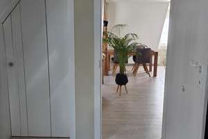 Property thumbnail 14