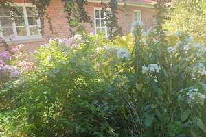 Bauernhaus mit bezauberndem Garten – Quelkhorner Landstraße 3, 28870 Ottersberg – Vorschaubild 21