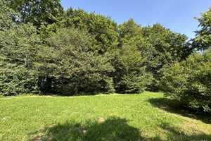 Freistehendes Einfamilienhaus mit parkähnlichem 
Anwesen und Waldgrundstück! – Alb-Donau-Kreis – Vorschaubild 20