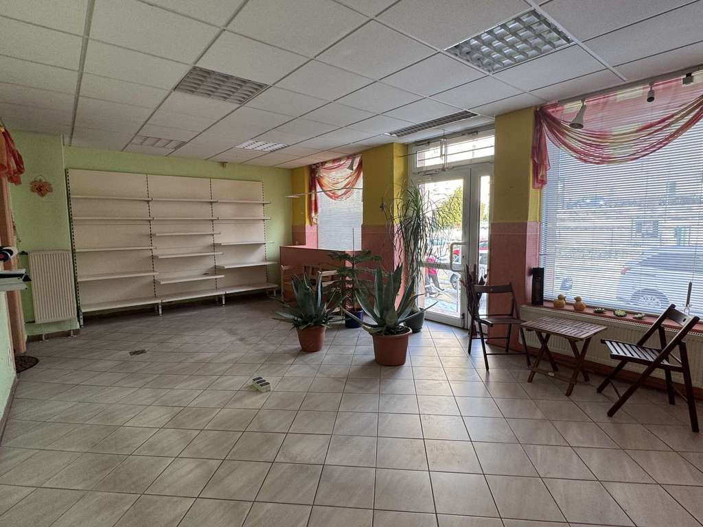 Immobilie in Freiberg - Ihr neues Investment: Mehrfamilienhaus mit Entwicklungschancen - Bild 4