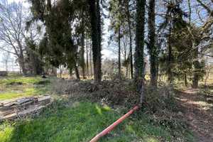 Einfamilienhaus mit weitläufigem Grundstück – Cuxhaven (Kreis) – Vorschaubild 16