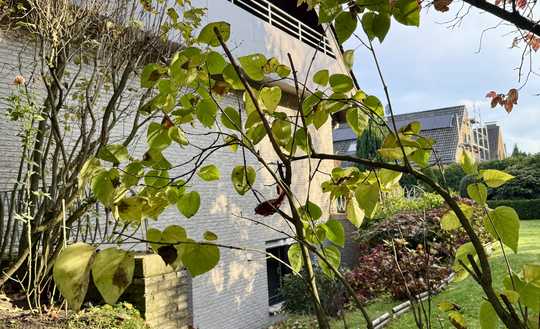 Für die große FAMILIE ist hier Platz genug