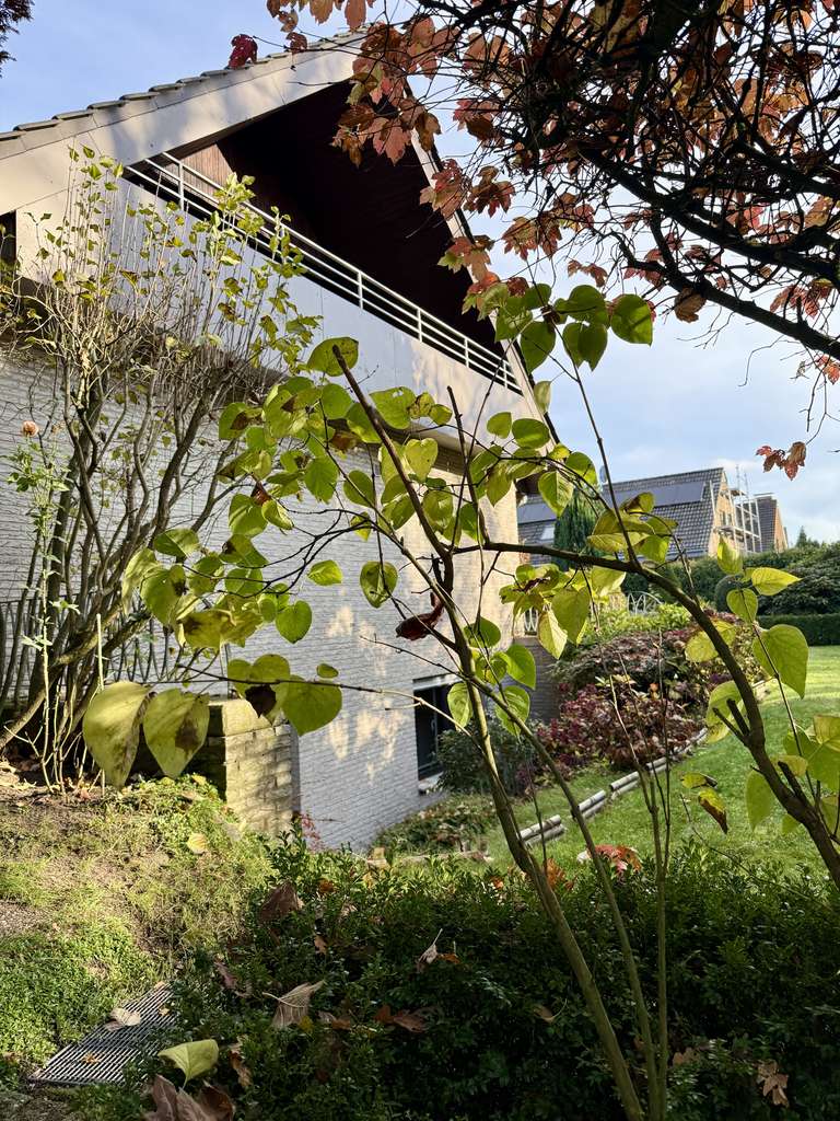 Immobilie in Dülmen - Für die große FAMILIE ist hier Platz genug - Bild 0