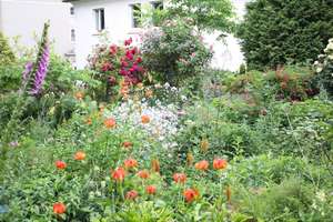 Property thumbnail 4