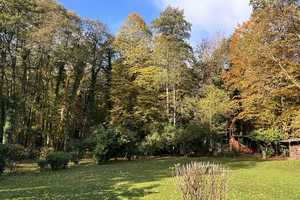 Verwirklichen Sie hier Ihre Träume! Forsthaus mit vielen Extras auf ca 10.000m² großen Grundstück. – Altenkirchen (Westerwald) (Kreis) – Vorschaubild 41