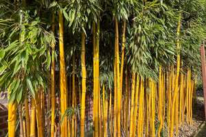 Property thumbnail 18