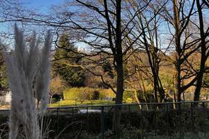 Property thumbnail 18