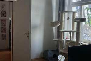 Zentrale 2 Zimmerwohnung mit Bad und WC – Plateniustr. 18, 42105 Elberfeld, Wuppertal – Vorschaubild 9