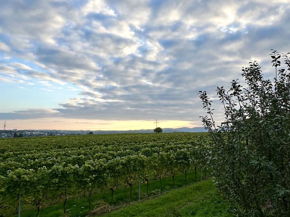 Aussicht Richtung Südwesten