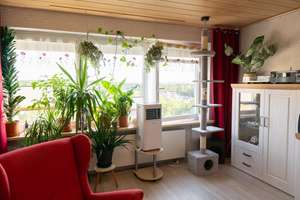 Wohnen mit Weitblick in einer gepflegten 4-Zimmer-Wohnung in Salzgitter-Thiede – Die vollständige Adresse der Immobilie erhältst du vom Anbieter., 38239 Thiede, Salzgitter – Vorschaubild 8