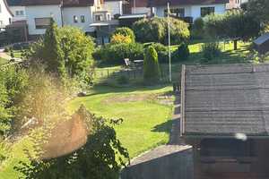 Geräumiges, günstiges 8-Raum-Einfamilienhaus in Beverungen – Weredunstrasse 47, 37688 Höxter (Kreis) – Vorschaubild 10