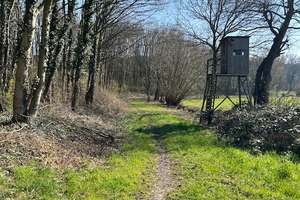 Einfamilienhaus mit 7 Zimmern in Werne – Am Sunderbach 8, 59368 Werne – Vorschaubild 4
