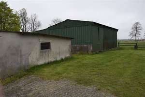 Ein Traum, das eigene Pferd direkt am Haus zu haben! Teilsaniertes Bauernhaus mit 1 Ha. Weide! – Süderende 8, 21782 Bülkau – Vorschaubild 10