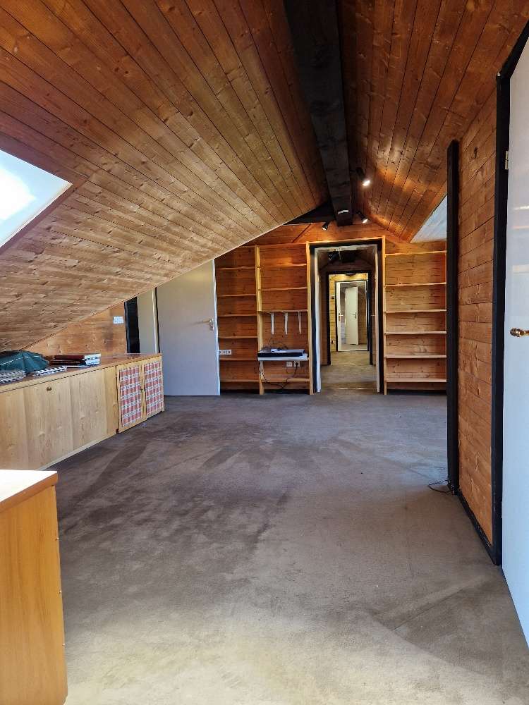 Immobilie in Celle - Großzügige Haushälfte in Klein Hehlen - Musikerviertel - Bild 0