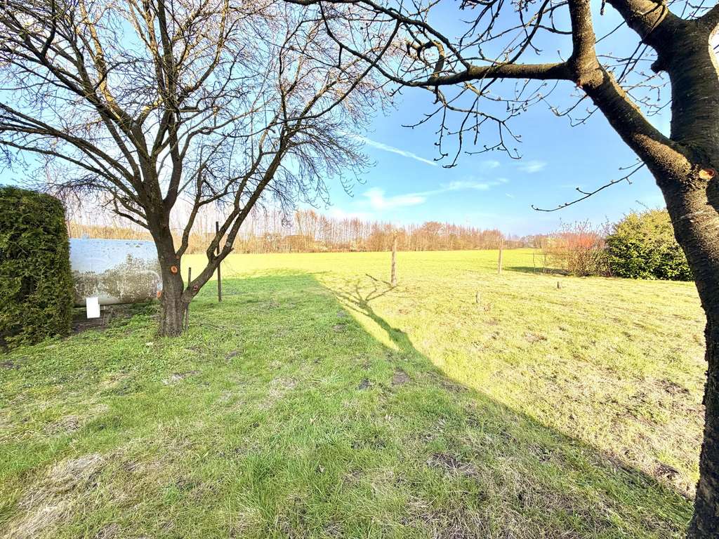 Immobilie in Südlohn - Doppelhaus im Außenbereich für individuelle Wohnkonzepte in Südlohn - Bild 3