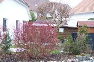 Gepflegtes Einfamilienhaus /  Bungalow in Bad Urach-Sirchingen, Privatverkauf, provisionsfrei – Die vollständige Adresse der Immobilie erhältst du vom Anbieter., 72574 Bad Urach – Vorschaubild 14