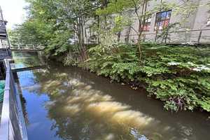 Property thumbnail 17