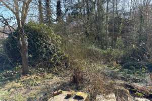 Kaufpreisreduzierung - Einfamilienhaus mit großem Garten in Lohmar - Jexmühle – Die vollständige Adresse der Immobilie erhältst du vom Anbieter., 53797 Lohmar – Vorschaubild 23