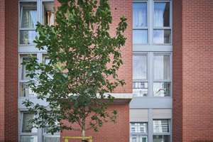 Kapitalanlage oder Eigennutzung – attraktive Eigentumswohnung ab 01.11.2026 bezugsfrei – Die vollständige Adresse der Immobilie erhältst du vom Anbieter., 40223 Bilk, Düsseldorf – Vorschaubild 21