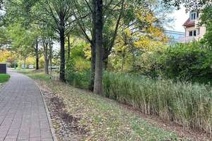 Vermieten in schöner Umgebung – 39116 Sudenburg, Magdeburg – Vorschaubild 13