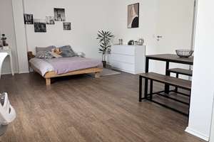 moderne, helle 1-Zimmer-Wohnung in zentraler Lage von Ingolstadt (auf Zeit) – Neuburger Straße 5, 85057 Mitte, Ingolstadt – Vorschaubild 3