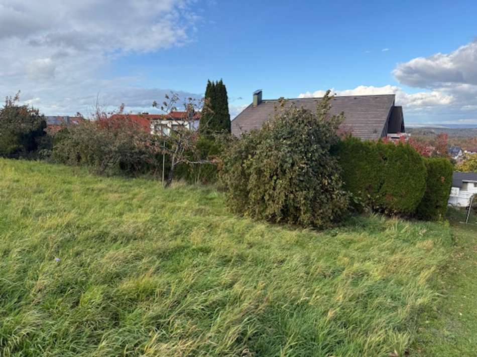 hinterer Teil des Gartens