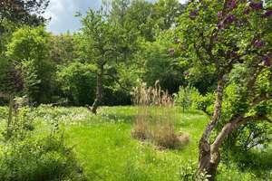 Property thumbnail 15