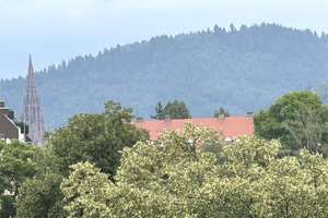Einzigartige 2-Zimmerwohung mit traumhaftem Wintergarten in top Lage Freiburg Wiehre – 79100 Unterwiehre-Süd, Freiburg im Breisgau – Vorschaubild 2