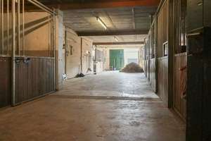 Pferdehof in Alleinlage von Xanten-Vynen mit 10 Boxen Nebengebäuden Weiden und Reitplatz – Die vollständige Adresse der Immobilie erhältst du vom Anbieter., 46509 Xanten – Vorschaubild 23