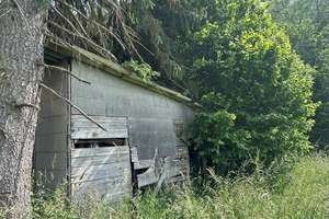Grundstück im Außenbereich von Bad Münder EFH baufällig
 – Die vollständige Adresse der Immobilie erhältst du vom Anbieter., 31848 Bad Münder am Deister – Vorschaubild 9