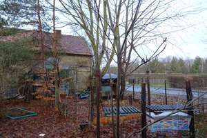 Wohngrundstück in Neupetershain – Wilhelm-Weise-Straße 9, 3103 Neupetershain – Vorschaubild 8