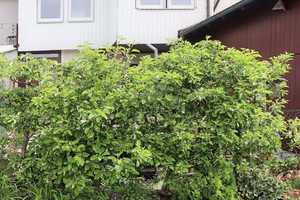 ++ FÜR SPARFÜCHSE ++ SANIERTE DHH MIT CHARME und FLAIR ++  – Mühldorf am Inn (Kreis) – Vorschaubild 32