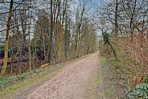 Property thumbnail 10