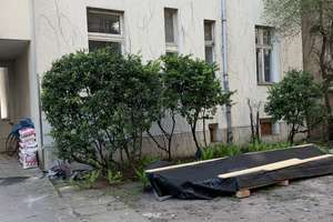 Property thumbnail 6