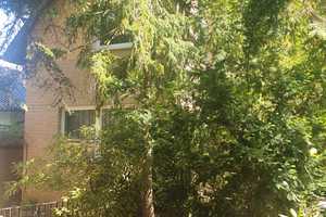 Sehr interessantes Einfamilienhaus in ruhiger Lage von Berlin-Heiligensee  – Berlin – Vorschaubild 12