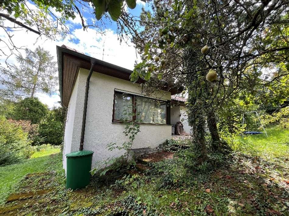 Ansicht Gebäuderückseite mit T