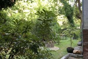 Nahe dem Botanischen Garten in auffälligem saniertem Stuckaltbau - NUR ANLAGE – Wrangelstrasse 10, 12165 Steglitz, Berlin – Vorschaubild 6