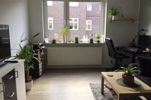 Modernisierte 2-Zimmer-Wohnung mit EBK in Hannover – Fraunhoferstraße 2, 30163 List, Hannover – Vorschaubild 2