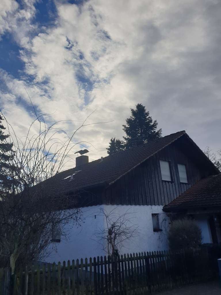 Immobilie in Bruckberg - Gemütliches Einfamilienhaus in Gündlkofen mit Garten und Garage - Bild 0