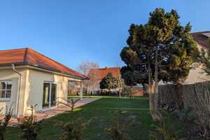 Neubau - Einfamilienhaus mit geh. Innenausstattung und EBK in Potsdam Teltower Vorstadt – Potsdam – Vorschaubild 4