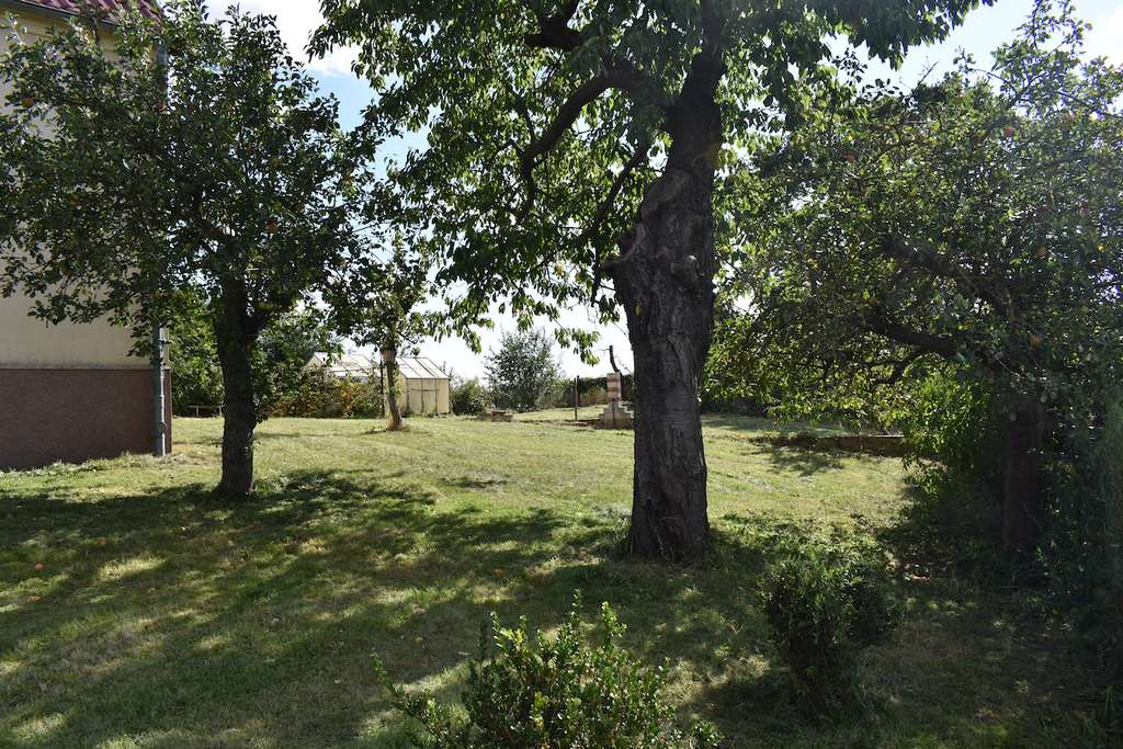 Immobilie in Beilrode - Charmantes Zweifamilienhaus mit großem Grundstück - Bild 4