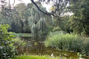 *** Wohnen im Park - Familienfreundliche Wohnung in der „Parkstadt Dösen“ *** WE N10.8 – Otto-Wilhelm-Scharenberg-Bogen 5, 4289 Meusdorf, Leipzig – Vorschaubild 21