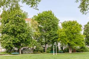 Kleiner Prinz - Ruhiges Apartment mit Außenstellplatz zwischen Prager Platz & Volkspark Wilmersdorf – Die vollständige Adresse der Immobilie erhältst du vom Anbieter., 10717 Wilmersdorf, Berlin – Vorschaubild 13