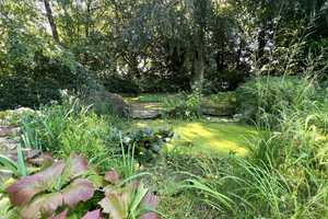 Südstadtflair :  Bungalow mit idyllischem Garten und Innenpool – Solingen – Vorschaubild 15