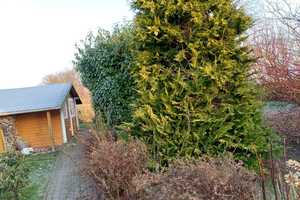 Sehr gepflegter Bungalow nur 14 km von der Hansestadt Greifswald entfernt !!! – Ostvorpommern (Kreis) – Vorschaubild 23