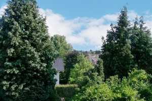 Charmanter Bungalow mit Garage und Carport in schönster Lage von Schönenberg – Dürerstraße 4, 66901 Kusel (Kreis) – Vorschaubild 9